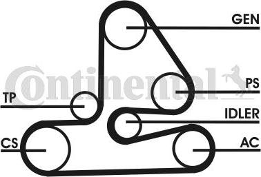CONTINENTAL 6PK1613D1 - Kit Cinghie Poly-V www.autoricambi360.it