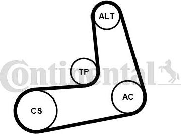 Continental 6PK1005K2 - Kit Cinghie Poly-V www.autoricambi360.it