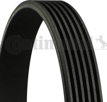Continental 6PK1875 - Cinghia Poly-V www.autoricambi360.it