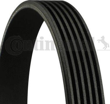 Continental 6PK860 ELAST - Cinghia Poly-V www.autoricambi360.it