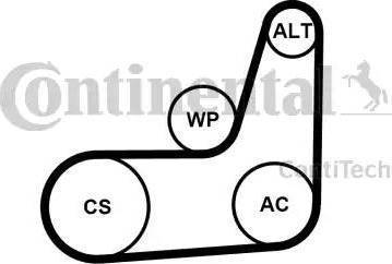 CONTINENTAL 6PK1029 ELAST T2 - Kit Cinghie Poly-V www.autoricambi360.it