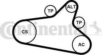 CONTINENTAL 6PK1020 EXTRA K1 - Kit Cinghie Poly-V www.autoricambi360.it