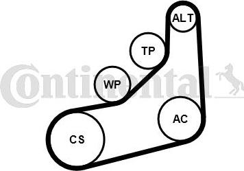 CONTINENTAL 6PK1157 EXTRA K1 - Kit Cinghie Poly-V www.autoricambi360.it