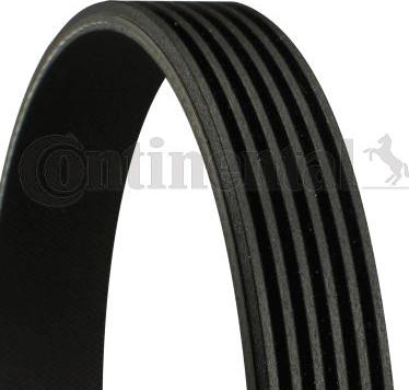CONTINENTAL 6 PK 802 EXTRA - Cinghia Poly-V www.autoricambi360.it