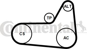 CONTINENTAL 6 PK 1180 K4 - Kit Cinghie Poly-V www.autoricambi360.it