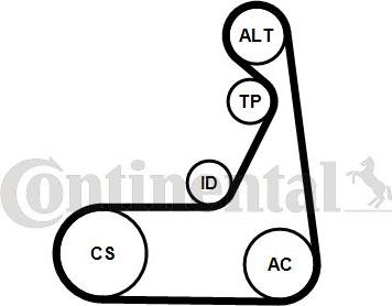 CONTINENTAL 6 PK 1173 K1 - Kit Cinghie Poly-V www.autoricambi360.it
