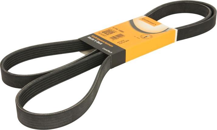 Continental 6PK1880 - Cinghia Poly-V www.autoricambi360.it