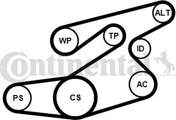 Continental 6PK1836K1 - Kit Cinghie Poly-V www.autoricambi360.it