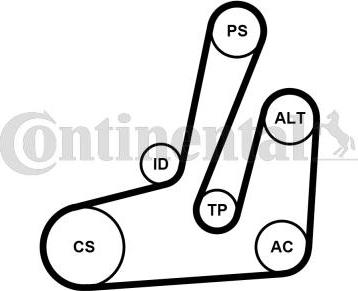 CONTINENTAL 6PK1390K1 - Kit Cinghie Poly-V www.autoricambi360.it