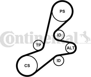 CONTINENTAL 6PK1352K1 - Kit Cinghie Poly-V www.autoricambi360.it