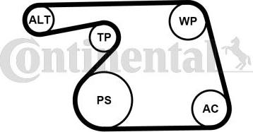 Continental 6PK1318WP1 - Pompa acqua + Kit cinghia Poly V www.autoricambi360.it