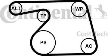 CONTINENTAL 6PK1318K2 - Kit Cinghie Poly-V www.autoricambi360.it