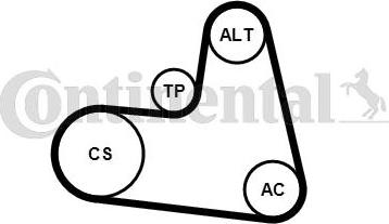 Continental 6PK1217K1 - Kit Cinghie Poly-V www.autoricambi360.it