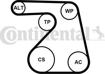 Continental 6PK1217WP1 - Pompa acqua + Kit cinghia Poly V www.autoricambi360.it