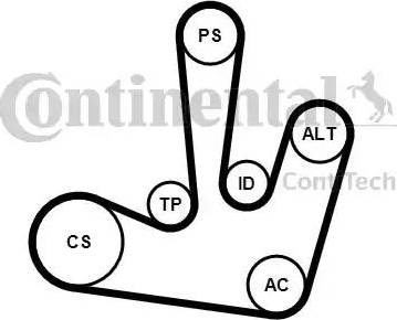 CONTINENTAL 6PK1795K1 - Kit Cinghie Poly-V www.autoricambi360.it