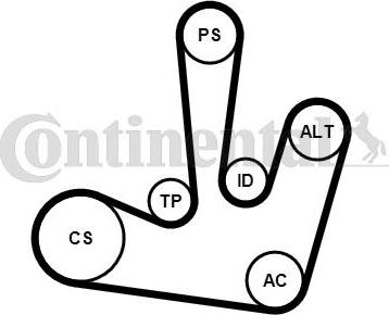 CONTINENTAL 6PK1795K1 - Kit Cinghie Poly-V www.autoricambi360.it