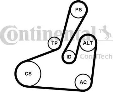 Continental 6PK1710K2 - Kit Cinghie Poly-V www.autoricambi360.it
