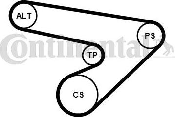 CONTINENTAL 6PK1725K1 - Kit Cinghie Poly-V www.autoricambi360.it