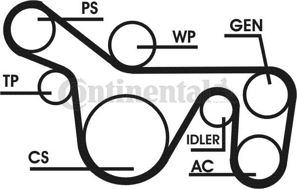 CONTINENTAL 6PK1720D1 - Kit Cinghie Poly-V www.autoricambi360.it