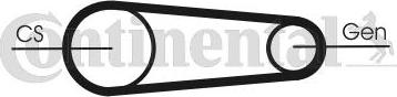 CONTINENTAL 6PK831 ELAST T2 - Kit Cinghie Poly-V www.autoricambi360.it