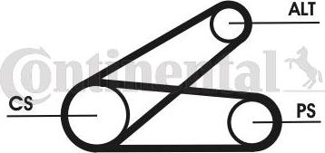 CONTINENTAL 6PK873 ELAST T1 - Kit Cinghie Poly-V www.autoricambi360.it