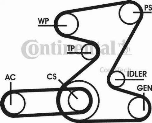 Continental 6PK2080D2 - Cinghia Poly-V www.autoricambi360.it