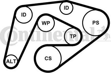 CONTINENTAL 6PK2260K3 - Kit Cinghie Poly-V www.autoricambi360.it
