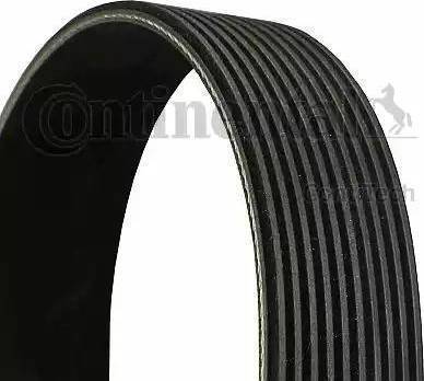 CONTINENTAL 10PK1620 - Cinghia Poly-V www.autoricambi360.it