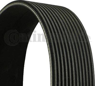 CONTINENTAL 12PK1300 - Cinghia Poly-V www.autoricambi360.it