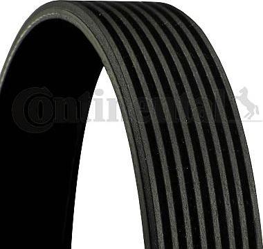 CONTINENTAL 8PK1427 - Cinghia Poly-V www.autoricambi360.it