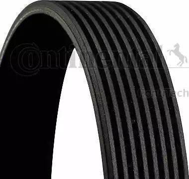 CONTINENTAL 8PK1560 - Cinghia Poly-V www.autoricambi360.it