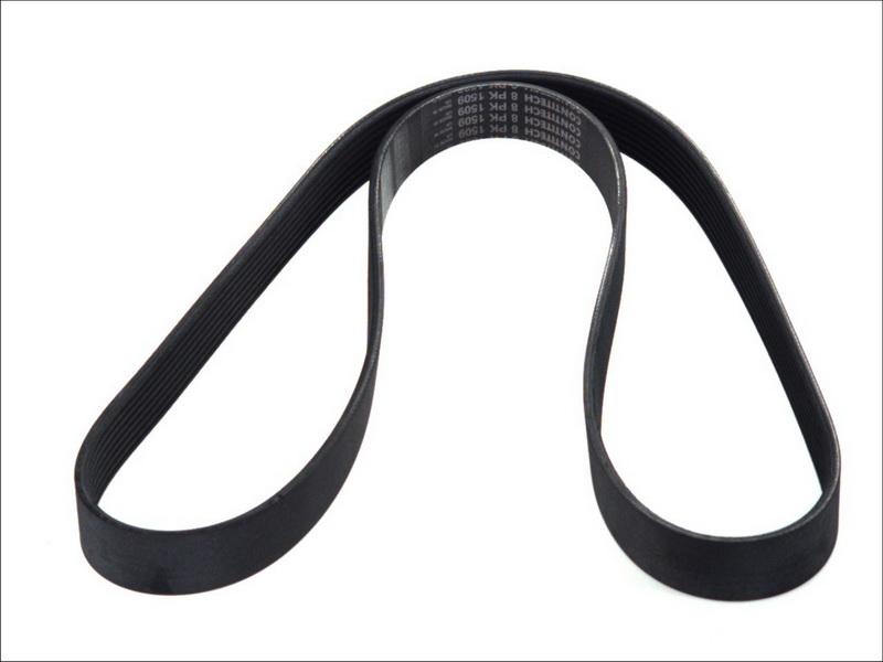 CONTINENTAL 8PK1509 - Cinghia Poly-V www.autoricambi360.it
