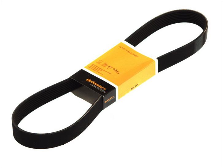 CONTINENTAL 8PK1538 - Cinghia Poly-V www.autoricambi360.it