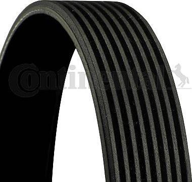 Continental 8PK1310 EXTRA - Cinghia Poly-V www.autoricambi360.it