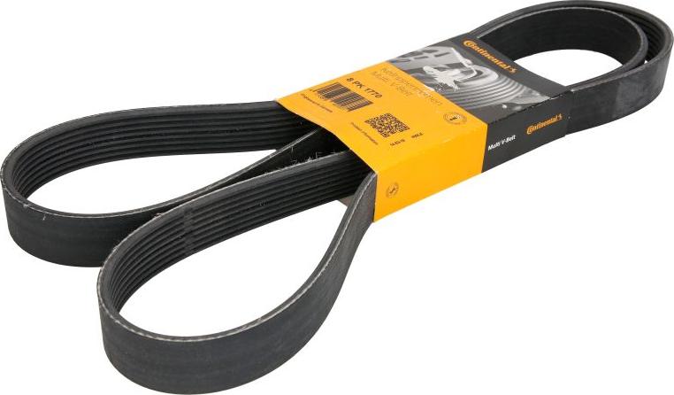 CONTINENTAL 8PK1770 - Cinghia Poly-V www.autoricambi360.it