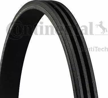 Continental 3PK800 - Cinghia Poly-V www.autoricambi360.it