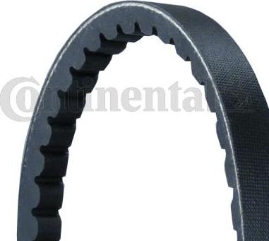 Continental AVX13X1025 - Cinghia trapezoidale www.autoricambi360.it
