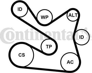 CONTINENTAL 7PK1605K1 - Kit Cinghie Poly-V www.autoricambi360.it