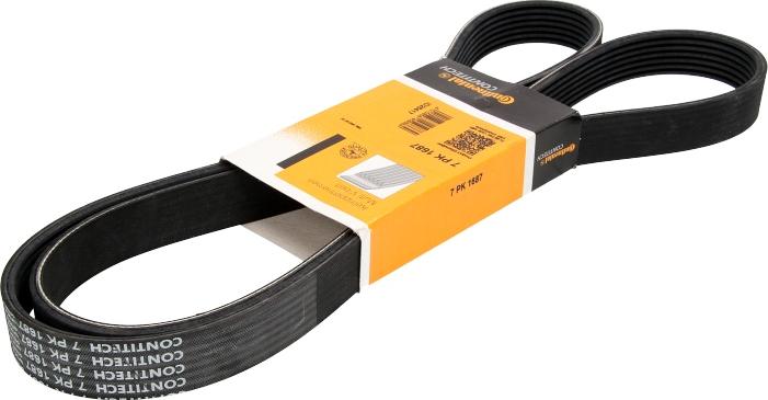 Continental 7 PK 1687 - Cinghia Poly-V www.autoricambi360.it