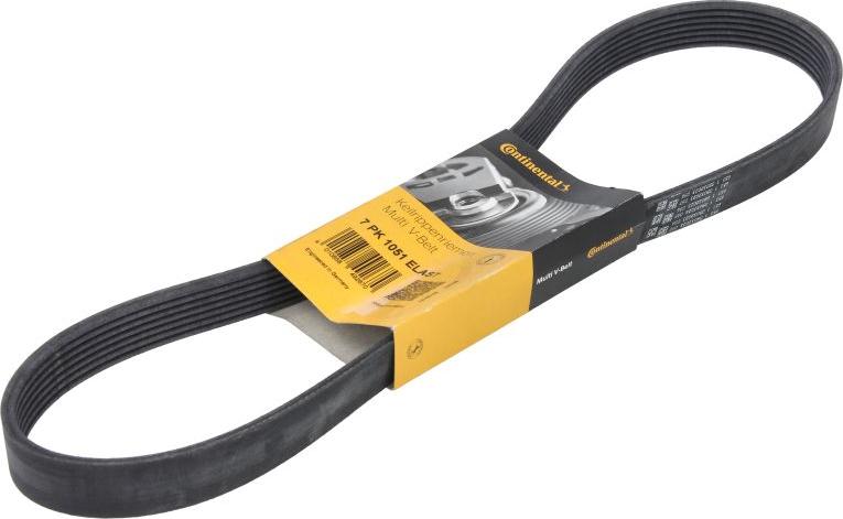 CONTINENTAL 7PK1051 ELAST - Cinghia Poly-V www.autoricambi360.it