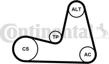 Continental 7PK1035K1 - Kit Cinghie Poly-V www.autoricambi360.it