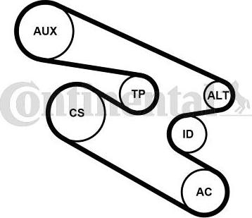 Continental 7PK1104K1 - Kit Cinghie Poly-V www.autoricambi360.it