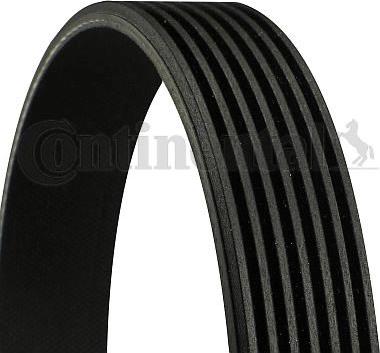 Continental 7PK1790 - Cinghia Poly-V www.autoricambi360.it