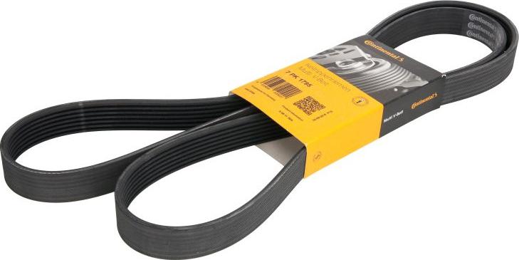 Continental 7PK1795 - Cinghia Poly-V www.autoricambi360.it