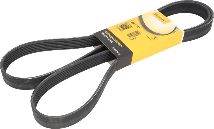 CONTINENTAL 7 PK 1770 - Cinghia Poly-V www.autoricambi360.it