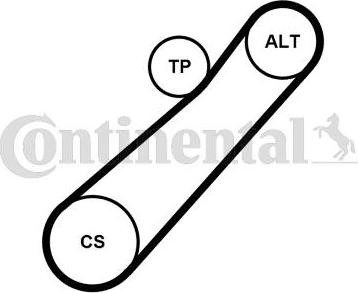 Continental 7PK880K1 - Kit Cinghie Poly-V www.autoricambi360.it