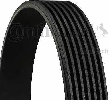 Continental 7PK3120 - Cinghia Poly-V www.autoricambi360.it