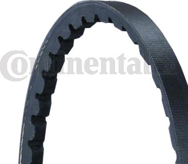 Continental AVX10X965 - Cinghia trapezoidale www.autoricambi360.it