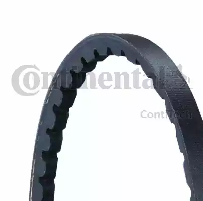 CONTINENTAL AVX10X838 - Cinghia trapezoidale www.autoricambi360.it