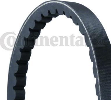 CONTINENTAL AVX13925 - Cinghia trapezoidale www.autoricambi360.it